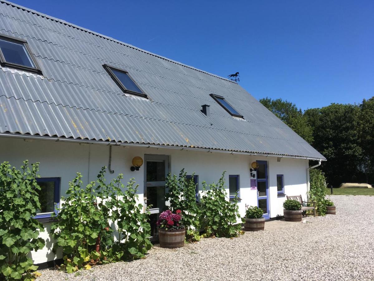 Вілла Rolso Retreat Knebel Екстер'єр фото