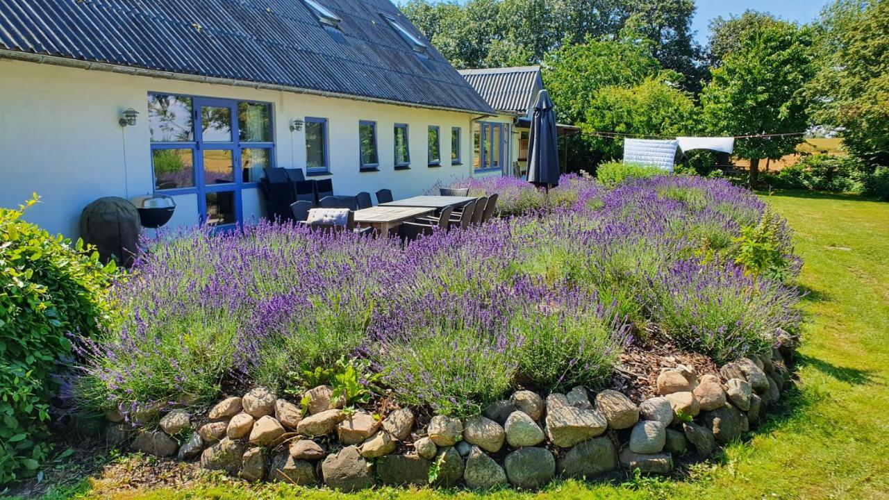 Вілла Rolso Retreat Knebel Екстер'єр фото