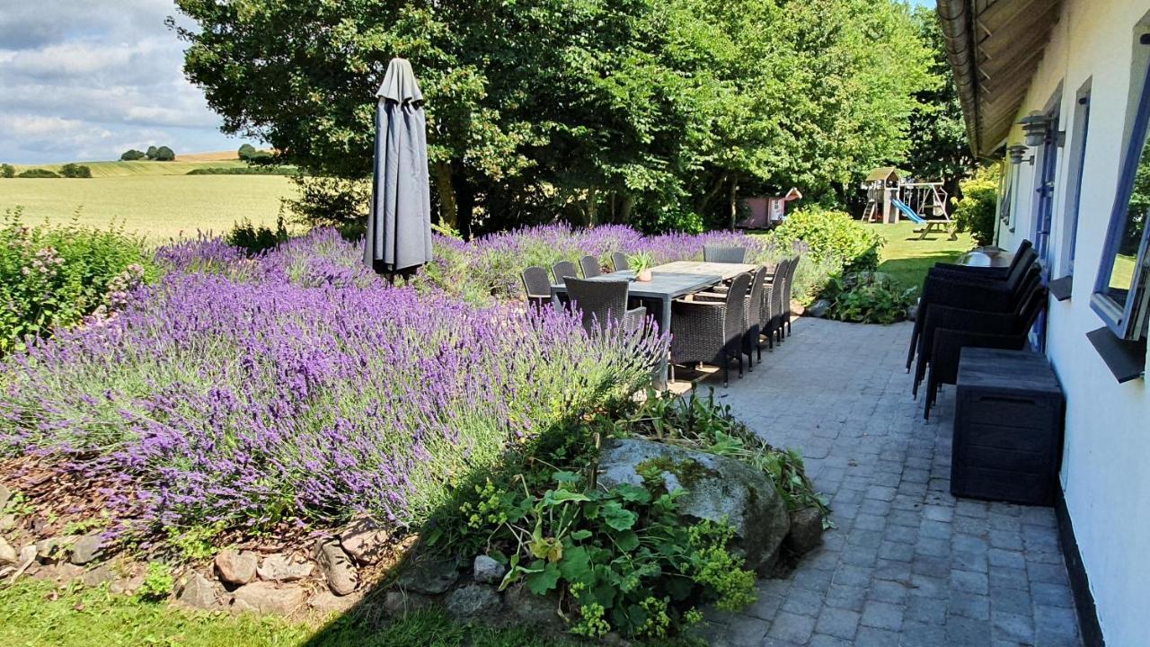 Вілла Rolso Retreat Knebel Екстер'єр фото